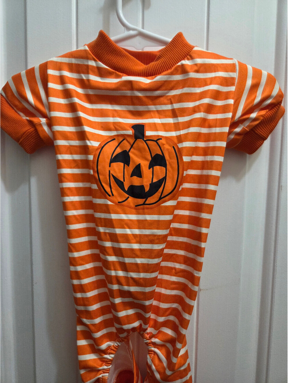 Dog Halloween Outfit Will fit medium with Jack O Lantern